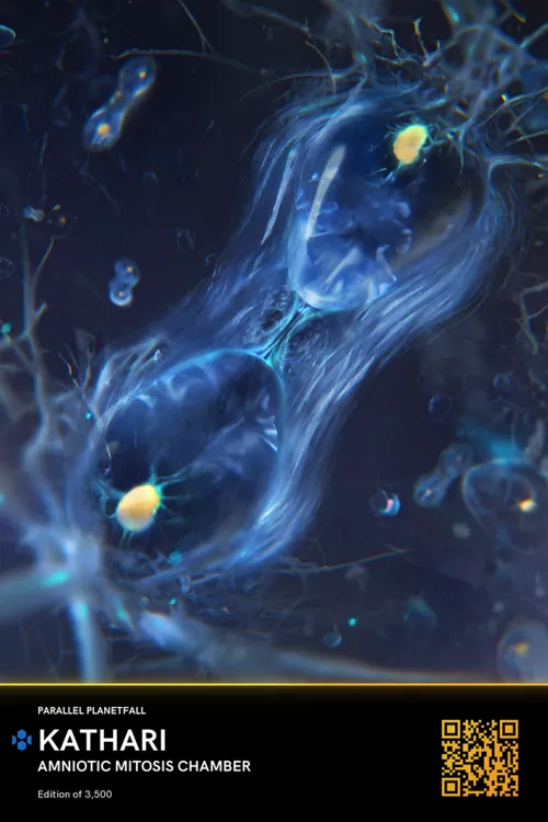 Amniotic Mitosis Chamber